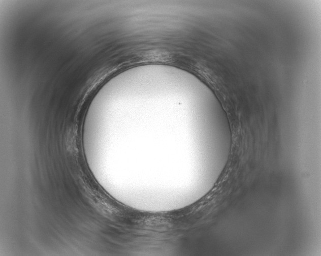 X0000067000146200603271349