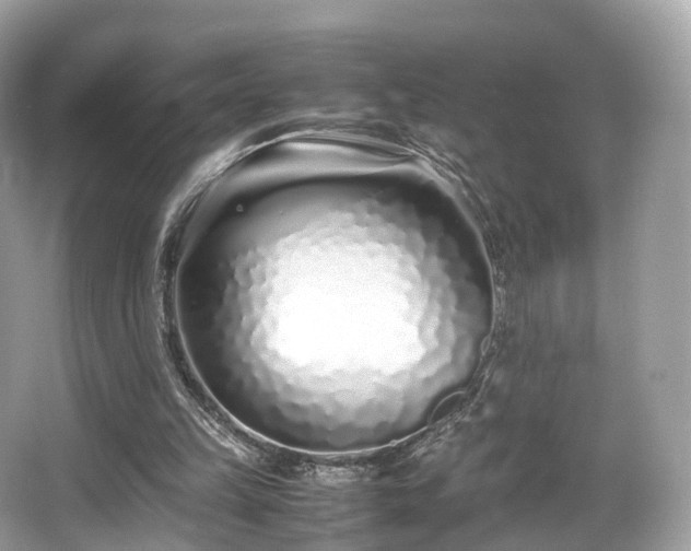 X0000067000149200603271349