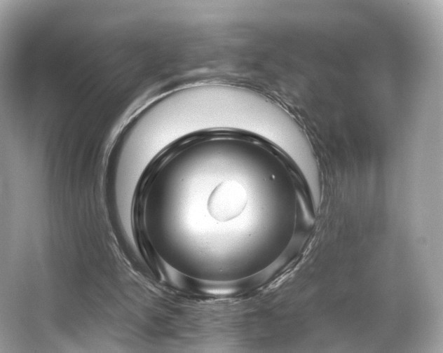 X0000067000150200603271349