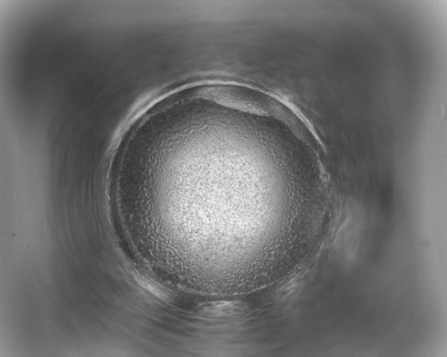 X0000067000151200603271349