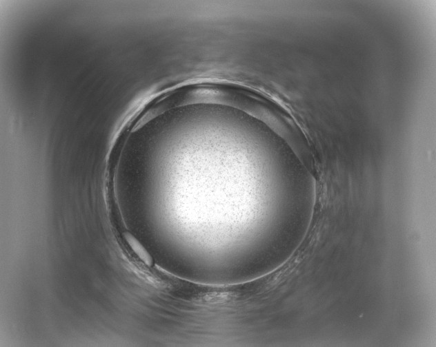 X0000067000152200603271349