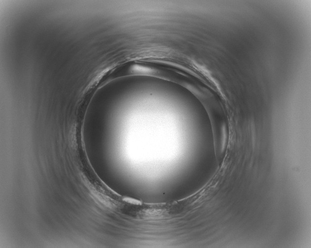 X0000067000154200603271349