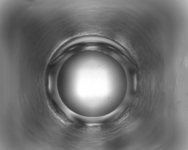 X0000067000156200603271349