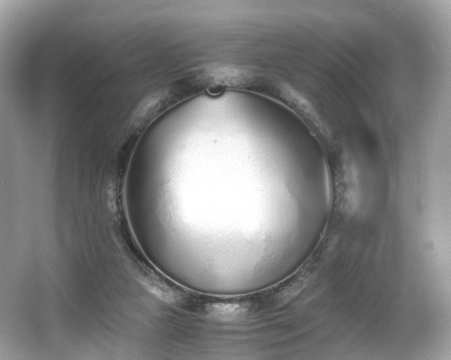 X0000067000161200603271349
