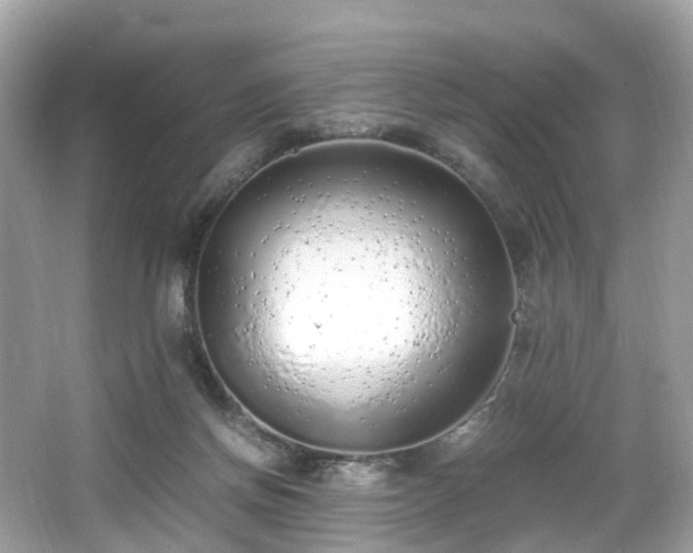 X0000067000166200603271349
