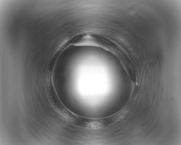 X0000067000168200603271349