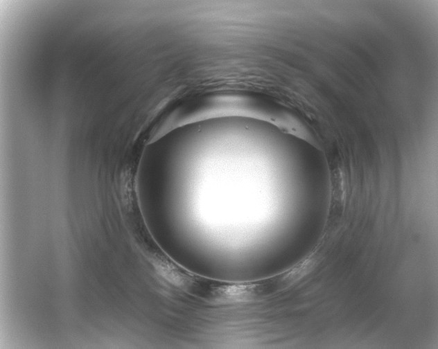 X0000067000184200603271350