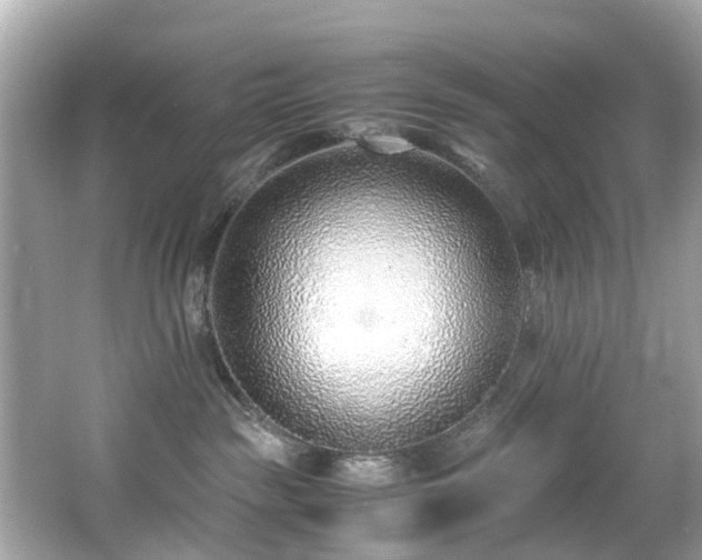 X0000067000189200603271350