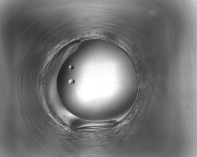 X0000067000193200603271349