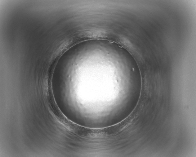X0000067000202200603271349