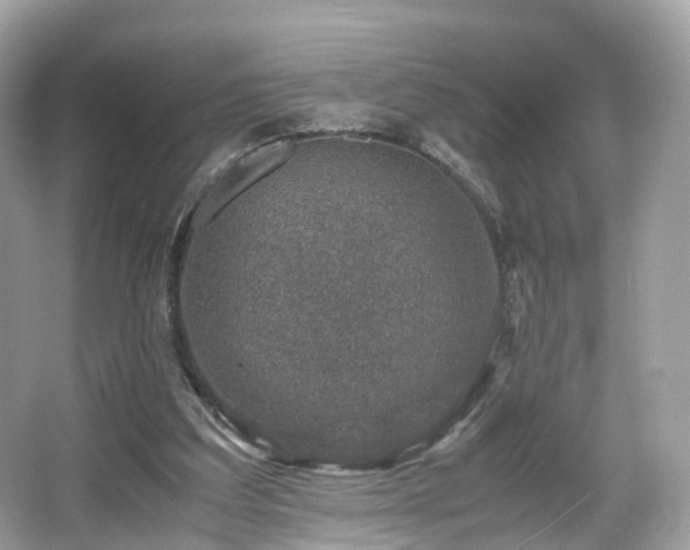 X0000067000203200603271349