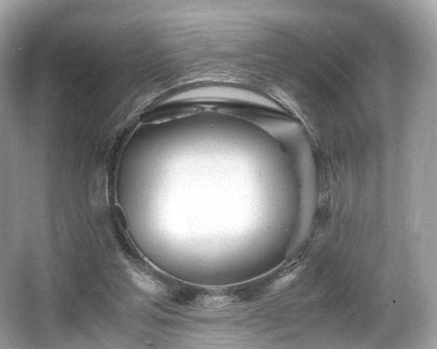 X0000067000205200603271349