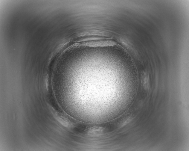 X0000067000206200603271349
