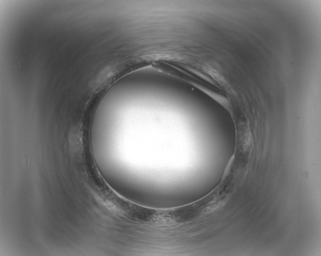 X0000067000207200603271349