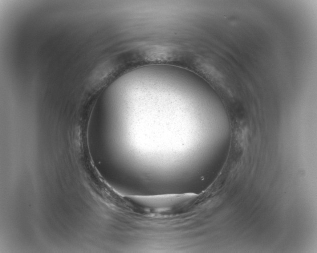 X0000067000211200603271349