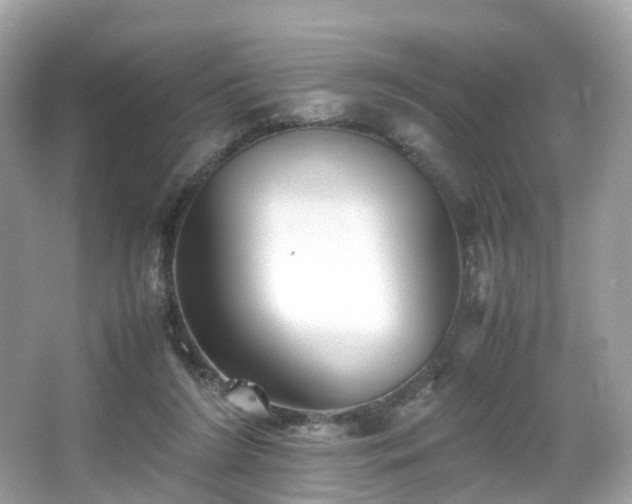 X0000067000212200603271349