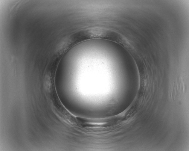 X0000067000215200603271348