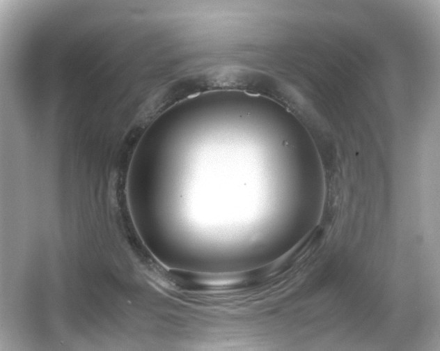 X0000067000217200603271348