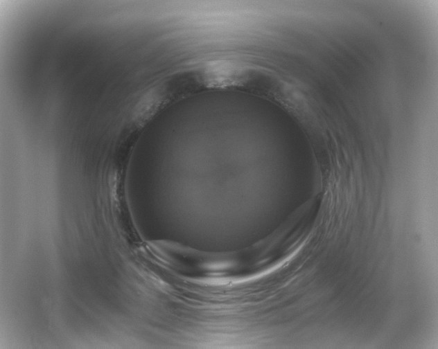 X0000067000219200603271348