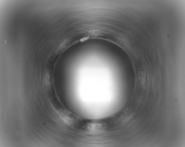 X0000067000220200603271348