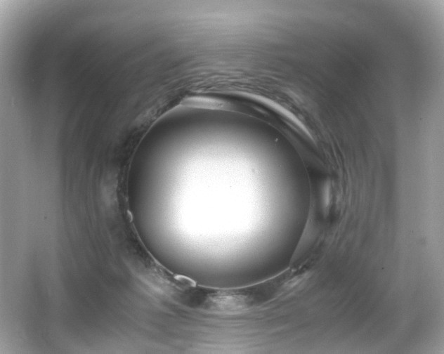 X0000067000221200603271348