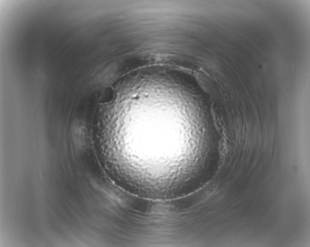 X0000067000222200603271348