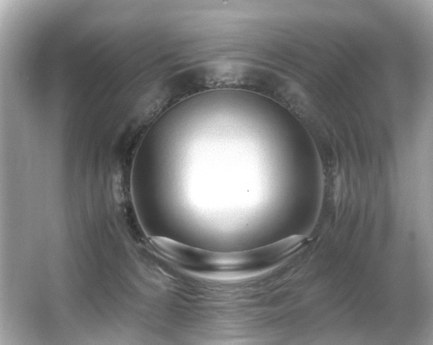 X0000067000224200603271348