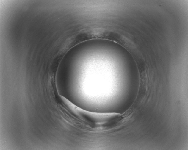 X0000067000225200603271348
