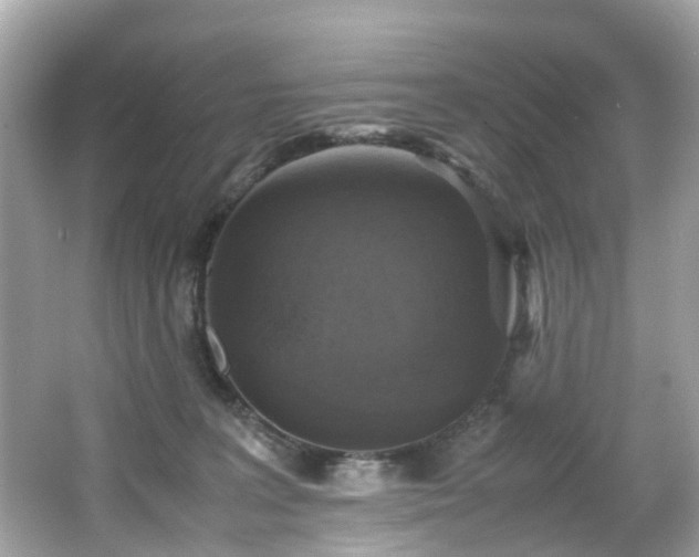 X0000067000227200603271348