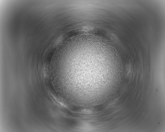X0000067000236200603271348