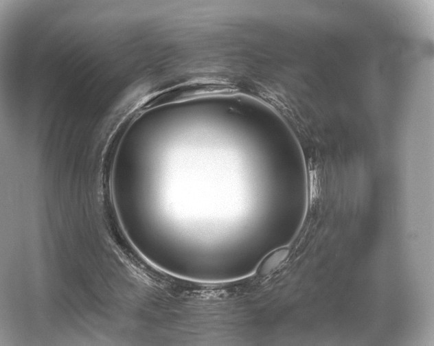 X0000067000243200603271347