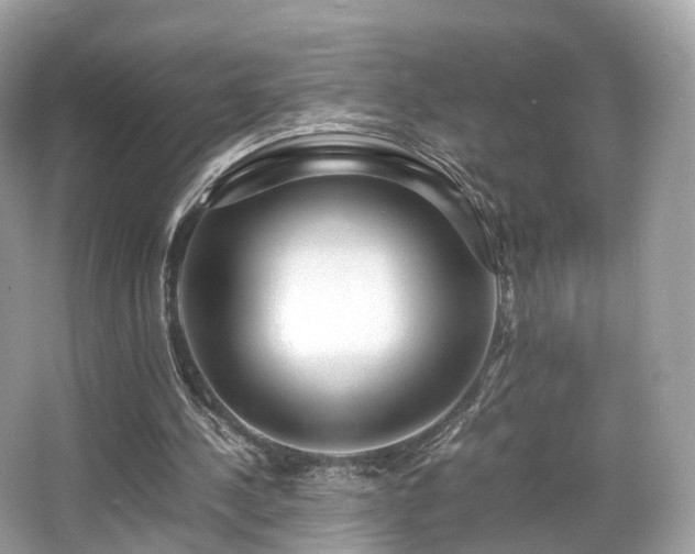 X0000067000244200603271347