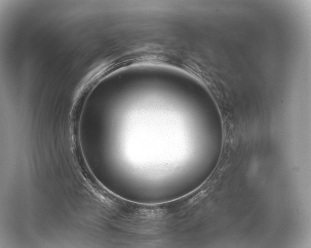 X0000067000245200603271347