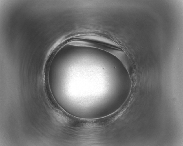 X0000067000246200603271347
