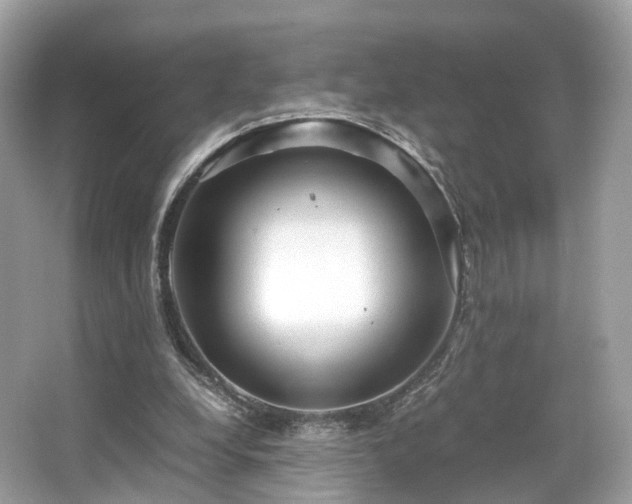 X0000067000248200603271347