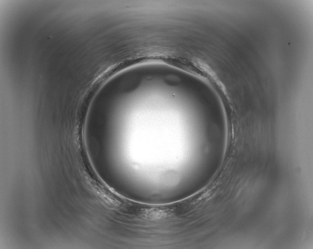 X0000067000249200603271347