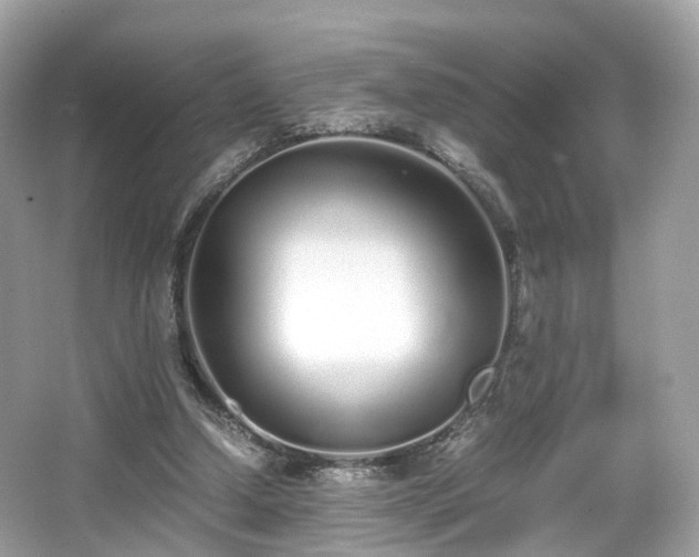 X0000067000250200603271347