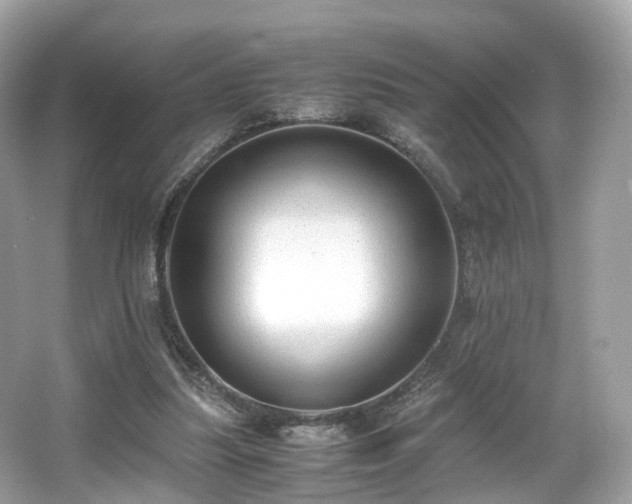 X0000067000251200603271347
