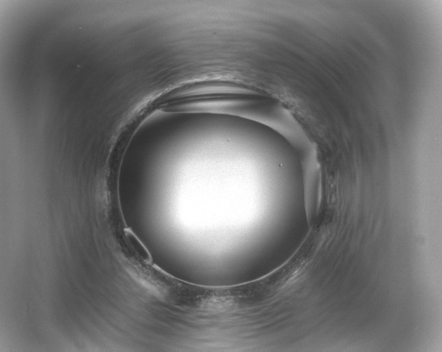 X0000067000252200603271347