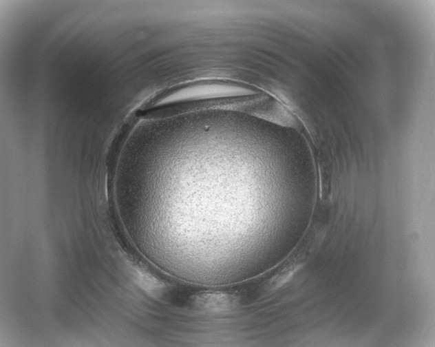 X0000067000253200603271347