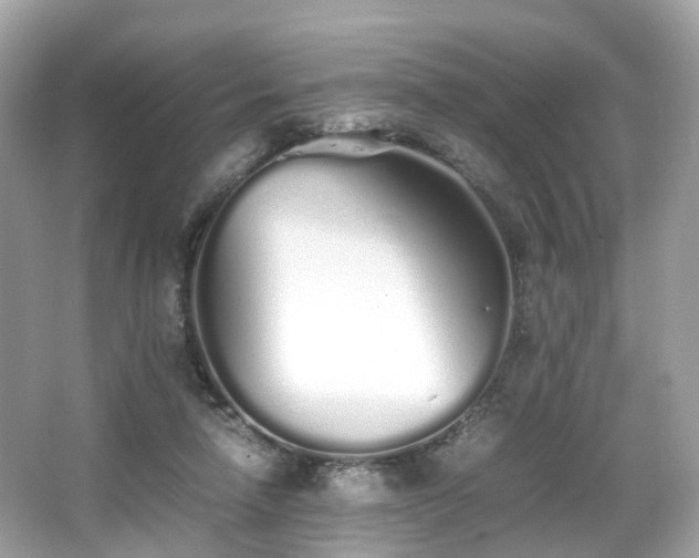 X0000067000258200603271348