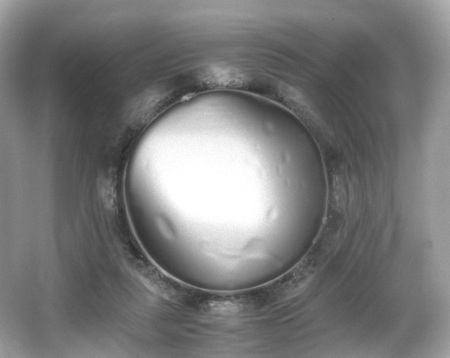 X0000067000259200603271348