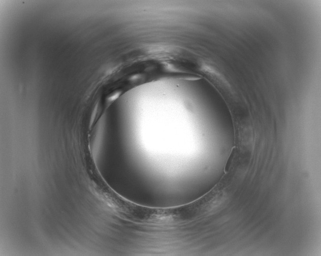 X0000067000260200603271348