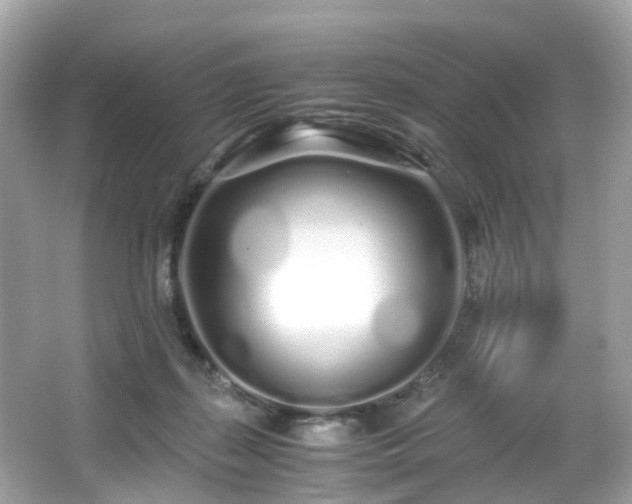 X0000067000267200603271348