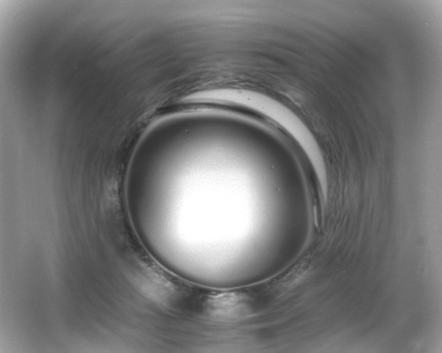 X0000067000269200603271348