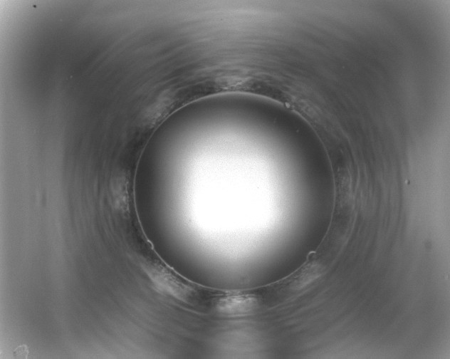 X0000067000274200603271348