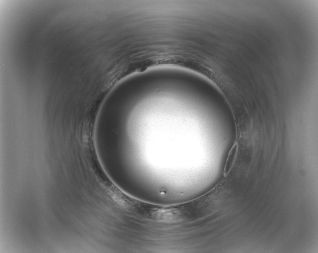 X0000067000277200603271348