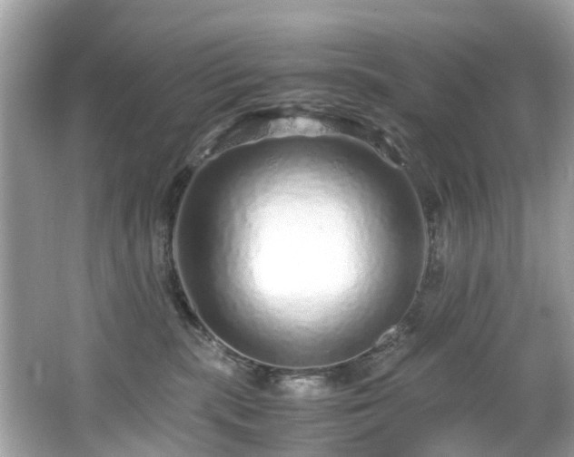 X0000067000283200603271348