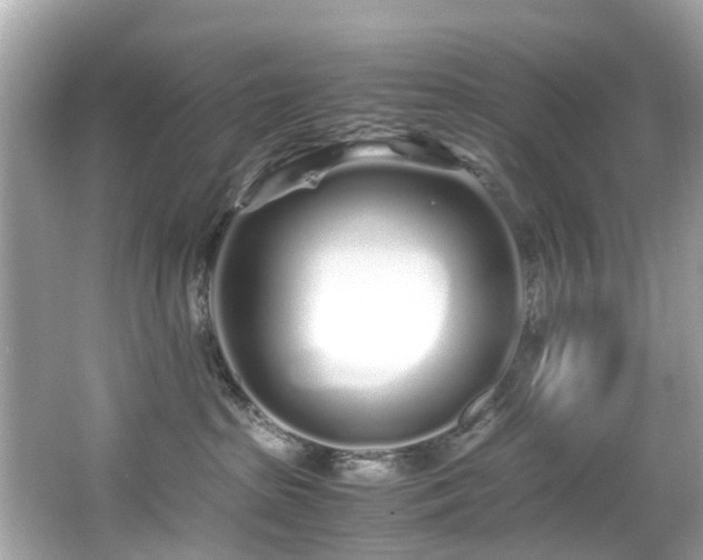 X0000067000285200603271348
