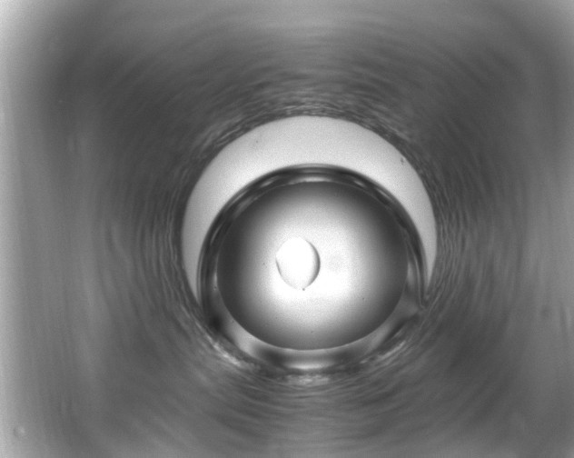 X0000067000287200603271348